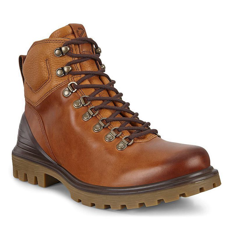 Men Boots Ecco Tredtray M - Casual Shoe Brown - India PKUFNI785
